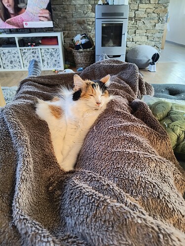 IMG_20260402_164047714_HDR