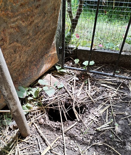 IMG_20240706_142412_edit_839317640257271