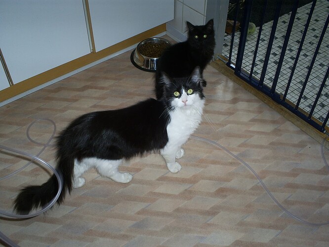 20 feb 08 022