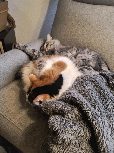 IMG_20260123_125131647_HDR