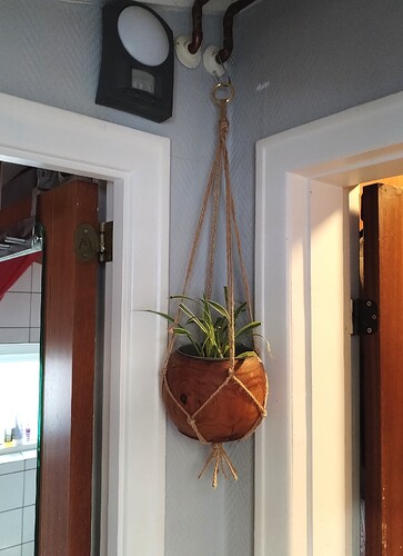 IMG_20260330_175038_edit_843487478508126