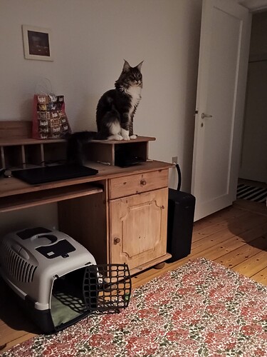 IMG_20241217_181454636