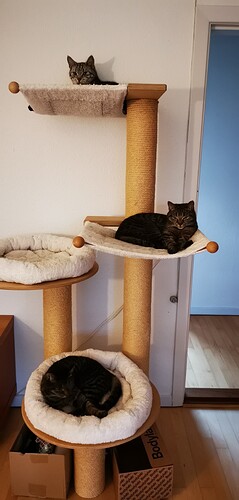 IMG_20230625_214527