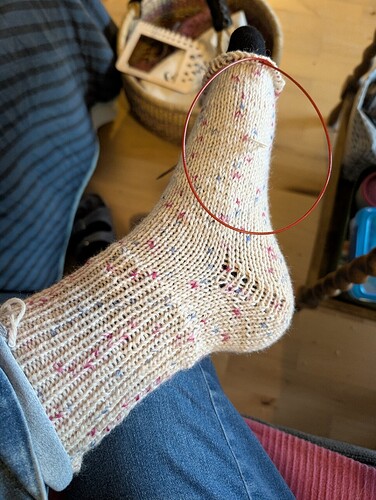 PXL_20251024_155403476.MP