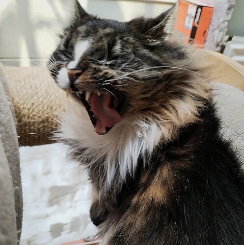 Screenshot_20250930_170909_edit_762417836410721