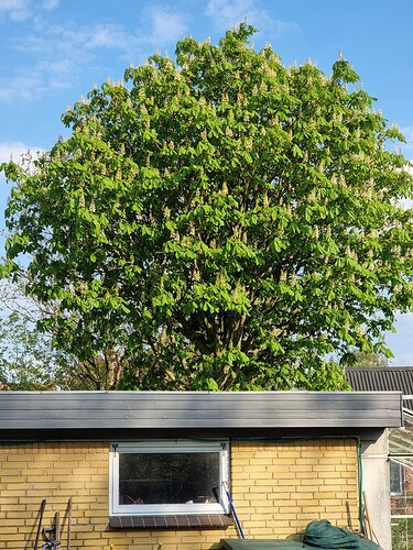 16839077121143529658441525205843