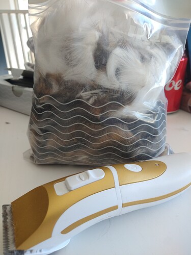 IMG_20250516_160543098