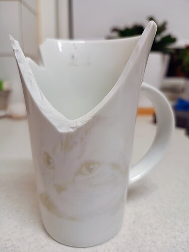 IMG_20250226_195137572_AE