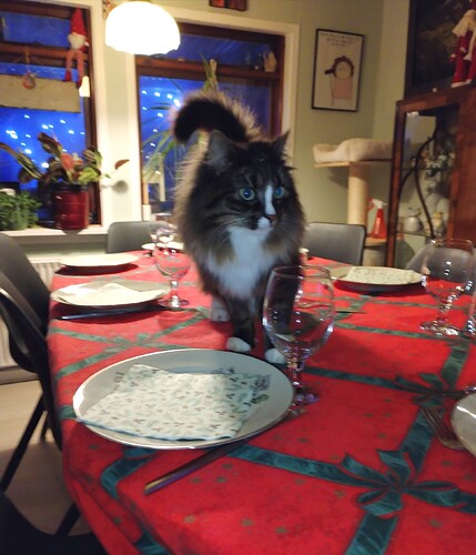 IMG_20251224_164922_edit_395844982291547