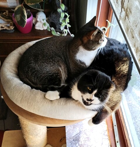 IMG_20251123_142625_edit_2312801894031168