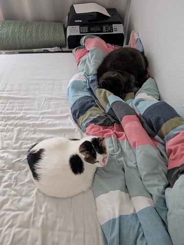 PXL_20251007_120150600.MP