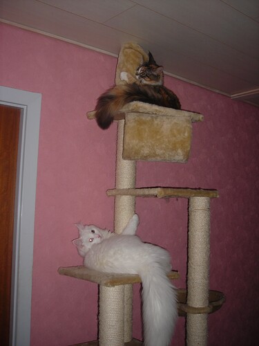 19 jan 08 020