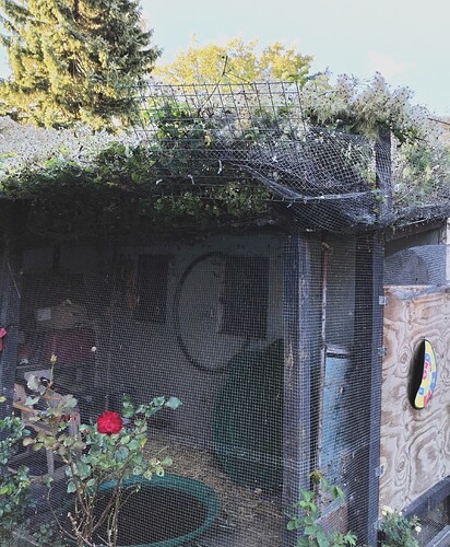 IMG_20250929_170940_edit_734123450636254