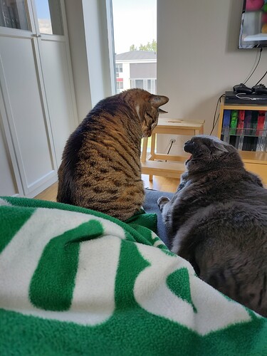 IMG_20220531_145541225_HDR