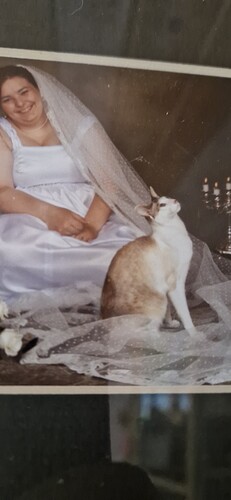 17485348519644427838974639289492