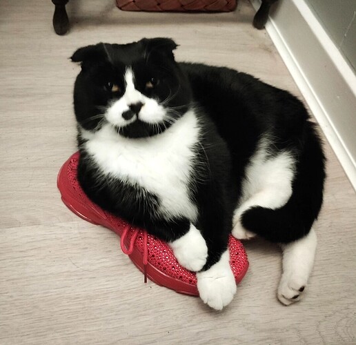 Screenshot_20250426_221013_edit_938706055407013