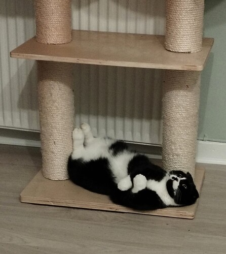 IMG_20241223_001652_edit_803992443619235