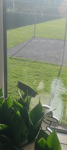 IMG20240516074727