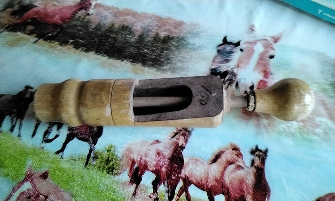 16850824239975791111824497358359