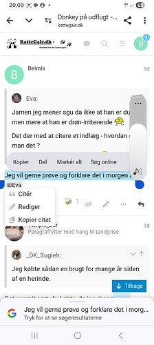 Screenshot_20251001_200955_Chrome