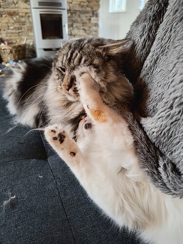 IMG_20250514_195633115_HDR