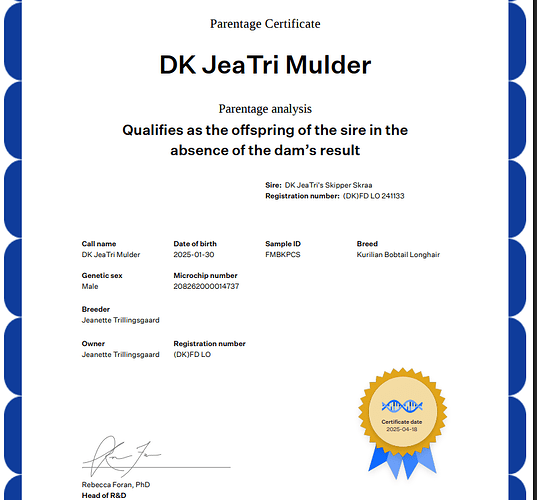 Parentage Certificate_DK JeaTri Mulder__DK JeaTri's Skipper Skraa_2025-04-18 – Google Chrome 18-04-2025 16_06_19