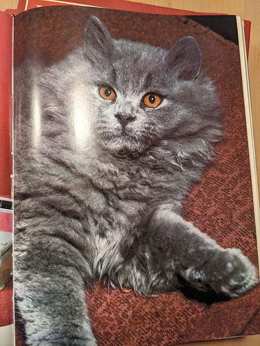 PXL_20210209_171540459