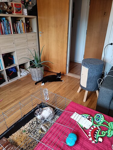 IMG20230628210552