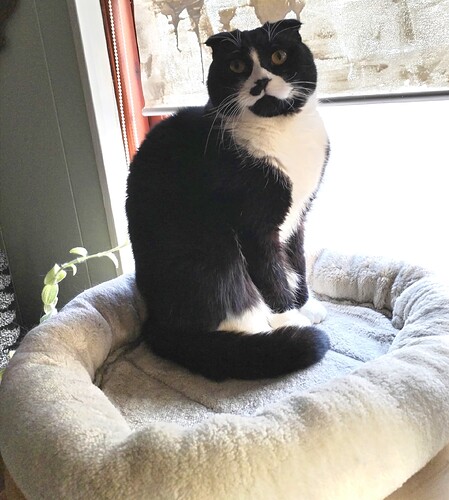 IMG_20260102_140259_edit_559042666981583