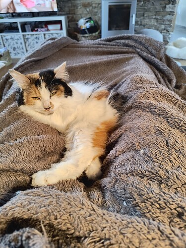 IMG_20260410_181829699_HDR