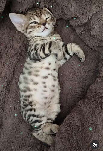 Screenshot_20251025_210635_edit_1573077099155331