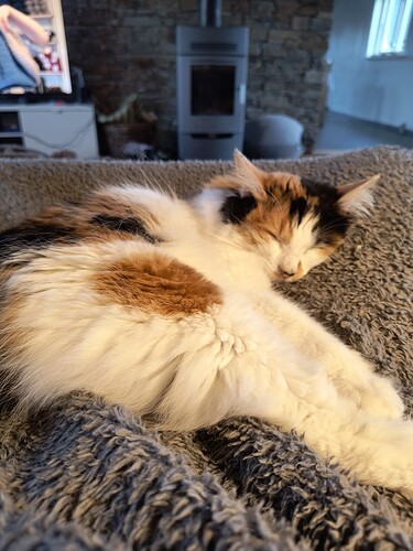 IMG_20260301_171045478