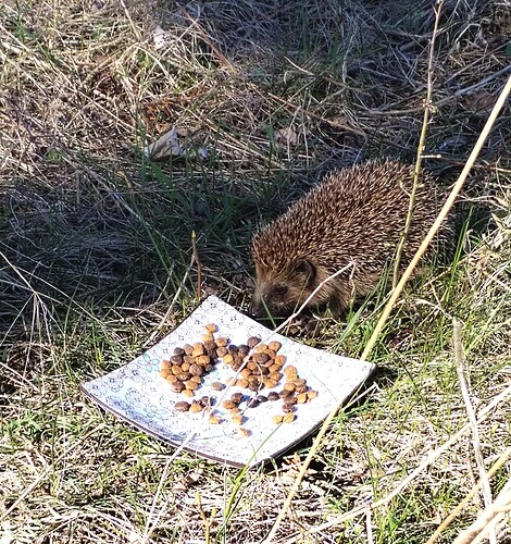 IMG_20260407_144127_edit_240171854542807