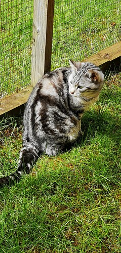 IMG_20260516_123635