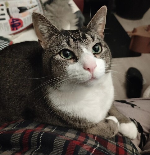 Screenshot_20241217_171348_edit_606956988932992