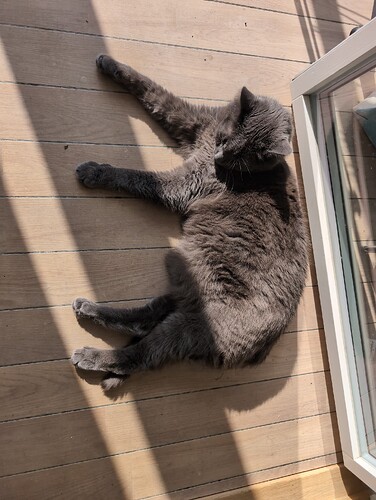 17456795419797755734935419691520