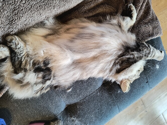 IMG_20250819_111359104_HDR