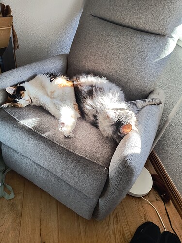 IMG_20260305_114404767_HDR