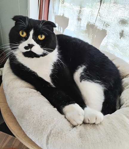 IMG_20250501_163945_edit_1087303914460223