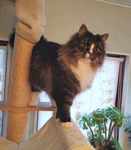 Screenshot_20251129_153321_edit_2463979767178029