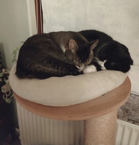 IMG_20260101_180650_edit_548942774656478