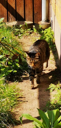 IMG_20210823_141904