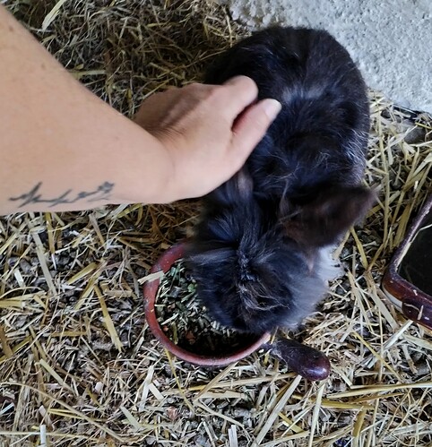 IMG_20240708_200450_edit_20277622377314