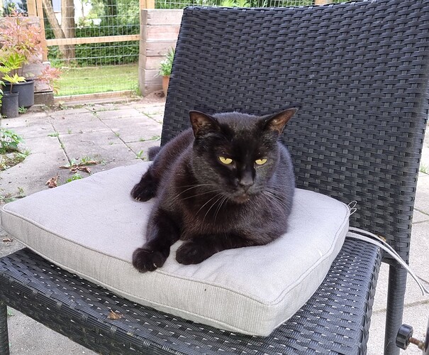 20230829_190936