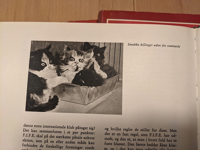 PXL_20210209_172155353