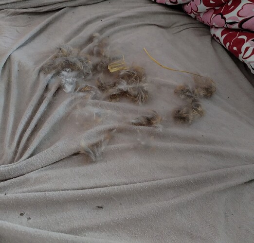 IMG_20240710_181617_edit_73307045444325