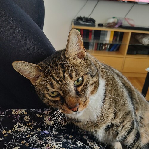 IMG_20221007_173121991_HDR