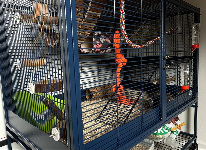 Messenger_creation_6E555ECC-616D-446F-A08D-01FE822C1B86