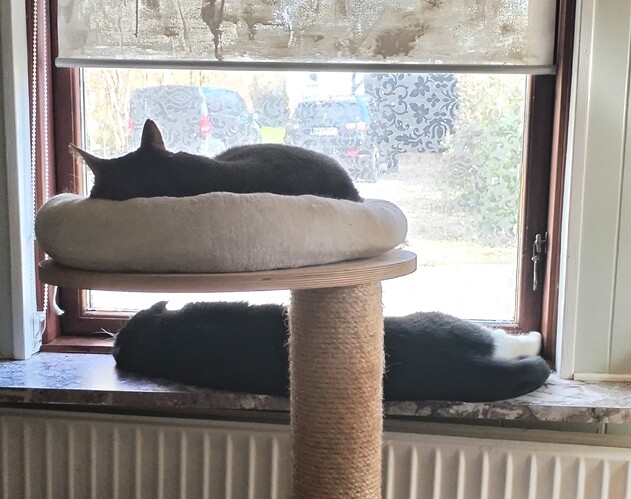 IMG_20260404_153151_edit_164456028646534