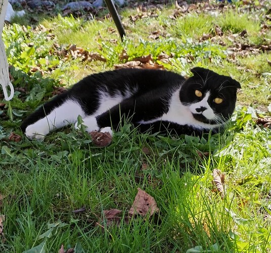 IMG_20260408_135850_edit_253135015560779